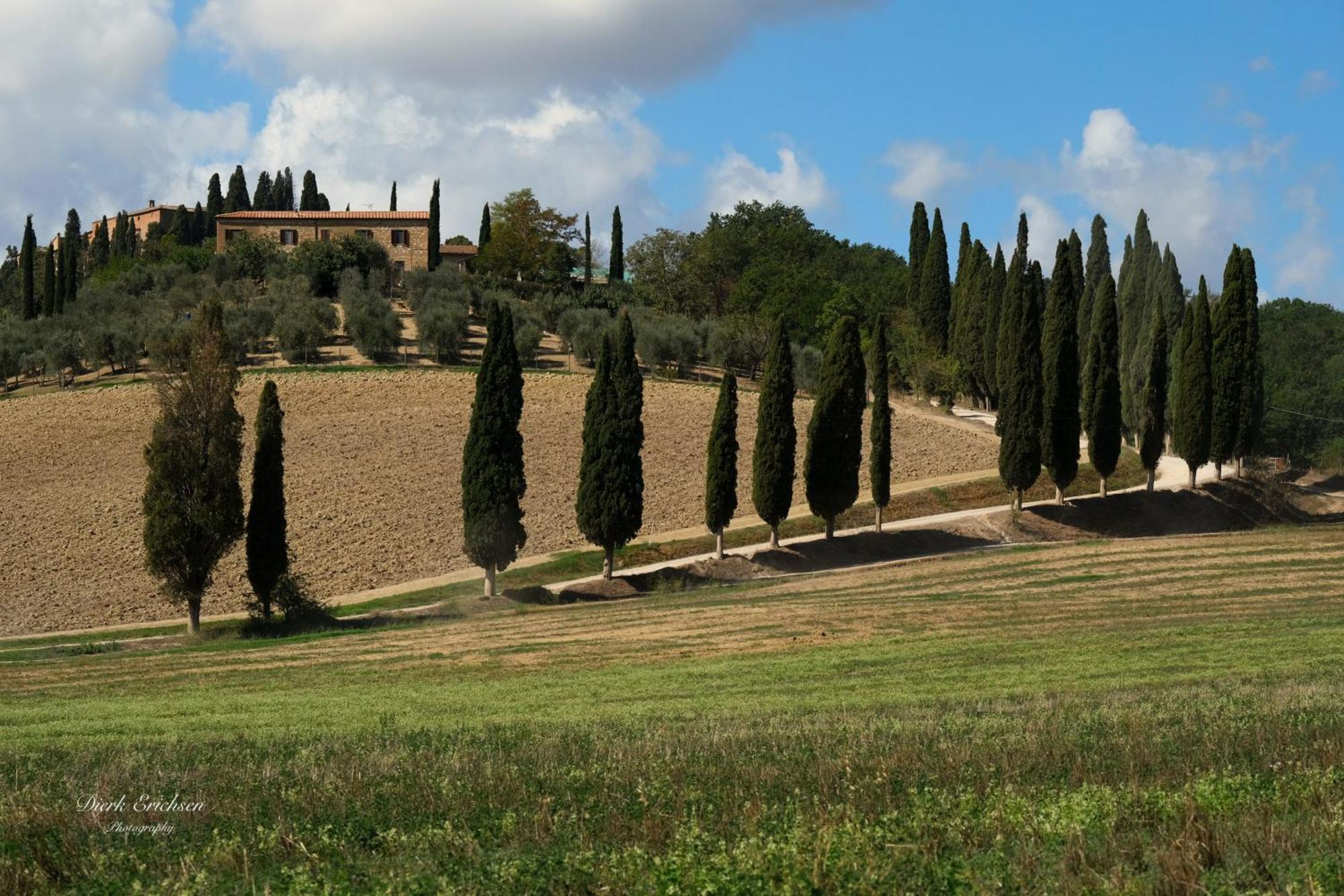 Agriturismo Biofattoria L'Upupa Montalcino Exterior foto